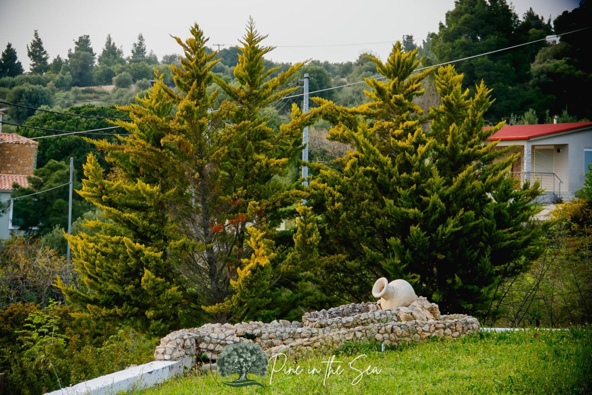 Ferienwohnung Pine In The Sea Nikiti-Sithonia Exterior foto